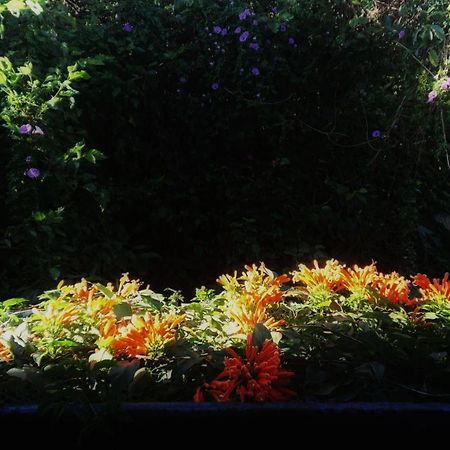 Dalat Inn Homestay Bagian luar foto
