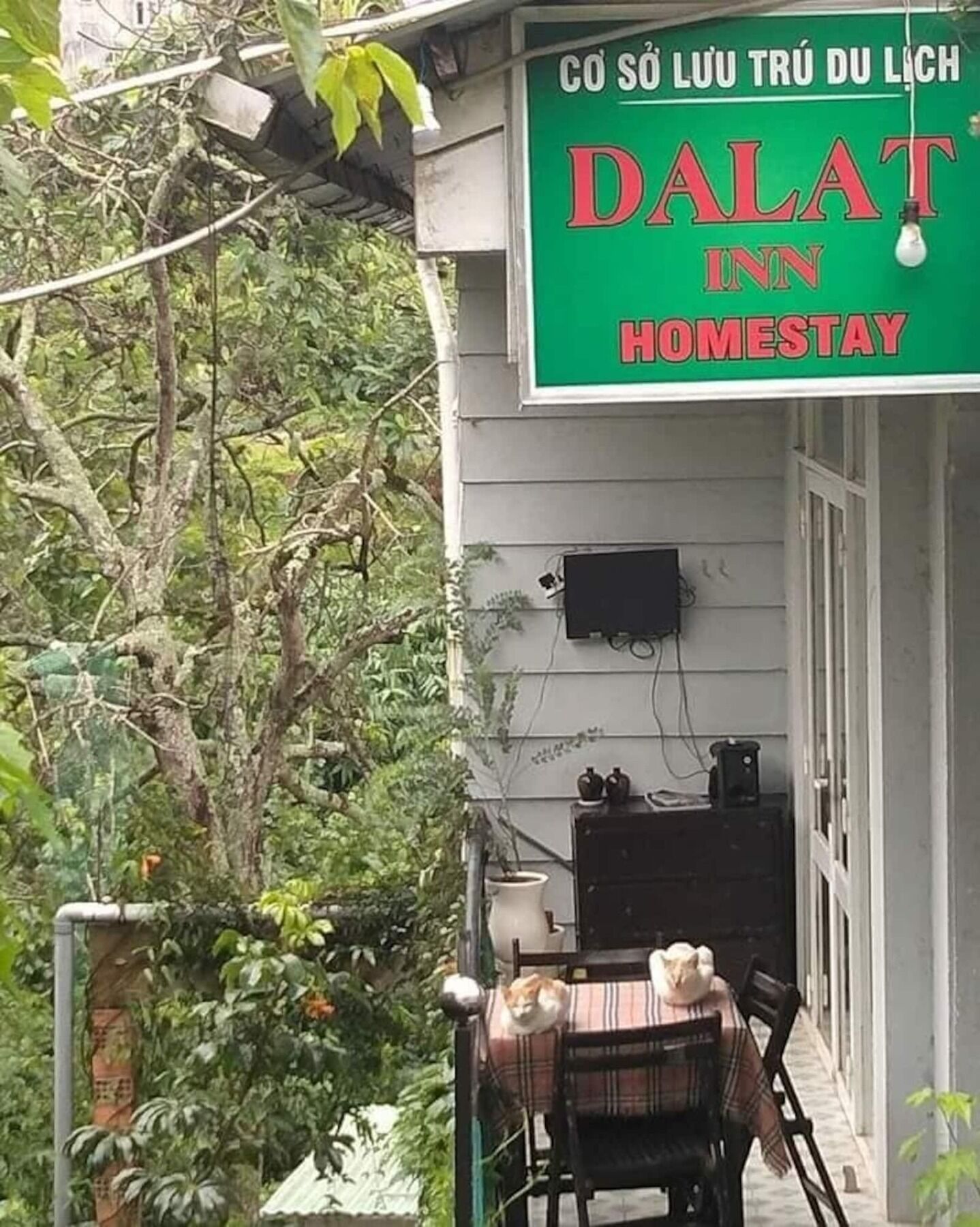 Dalat Inn Homestay Bagian luar foto